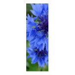 Blue Cornflower Bookmark business cards