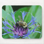 Blue Cornflowers Mouse Pad