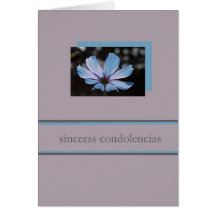 blue cosmos spanish sympathy card
