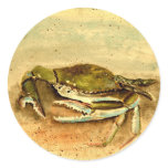 blue crab acrylic painting sea marine life