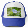 Blue Creeping Speedwell Blooms Hat