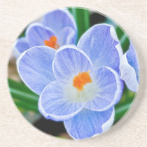 Blue Crocuses coasters