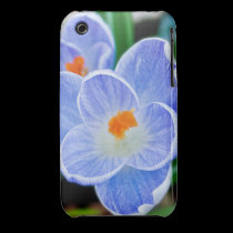 Blue Crocuses casemate cases
