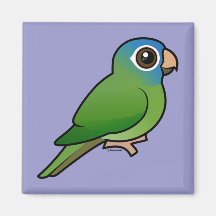 Blue-crowned Conure Fridge Magnet