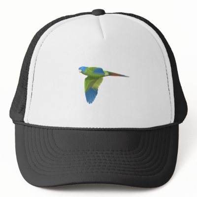 Blue-crowned Conure Hat by antshrikestudio