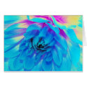 Blue Dahlia  ,  Forever Summer (CARD)