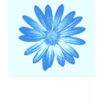 Blue Daisy t-shirts