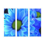 Blue Daisy Wrapped Canvas