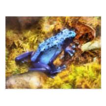 Blue Dart Frog Postcards