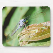 Blue Dasher Dragonfly mousepad