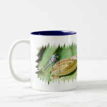 Blue Dasher Dragonfly mug