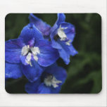 Blue Delphinium flower mouse mat Mousepad