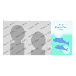 Blue Dolphins. Custom Photo Card