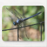 Blue Dragon Mouse Mat