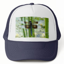 Blue Dragonfly Hat