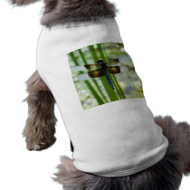 Blue Dragonfly Pet Clothing