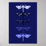 Blue Dragons posters