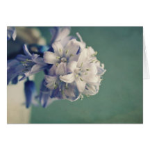 'Blue Dream' Blank Card