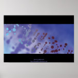 BLUE DREAMS posters