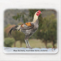 Blue Duckwing Australian Game Cockerel 9Y557D-006 Mouse Pad