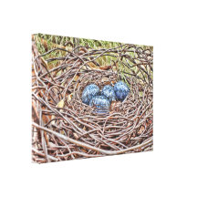 Blue Eggs In Nest Wrapped Canvas Canvas Print