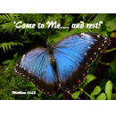 Blue exotic butterfly zazzle_postcard