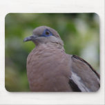 Blue eyed bird mousepads