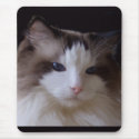 Blue Eyed Cat Mousepad