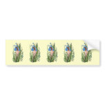 Blue-Eyed Grass bumper stickers