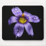Blue Eyed Grass ~ mousepad