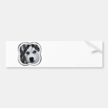 Blue Eyed Husky  Bumper Sticker