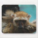 Blue Eyed Lemur Mouse Pad
