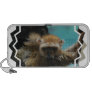 Blue Eyed Lemur Portable Speakers