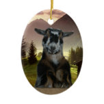 BLUE EYED NIGERIAN DWARF CHRISTMAS ORNAMENT ornaments