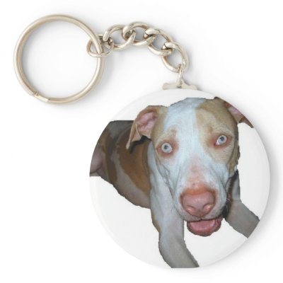 blue eyed pitbull keychain by rescueadog