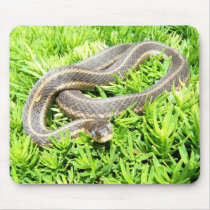 Blue Eyed Snake ~ mousepad