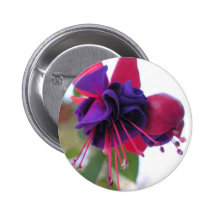 Blue Eyes Fuchsia Button