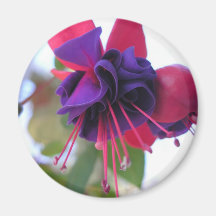 Blue Eyes Fuchsia Magnet