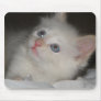 Blue Eyes Kitten Mousepad