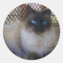 Blue Eyes Kitty Collection Stickers