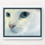 Blue Eyes Mouse Pads