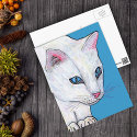 Blue Eyes White Cat postcards