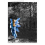Blue Fairy Cards