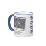 Blue Feather and Love Poem mugs