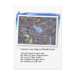 Blue Feather and Love Poem postcards