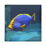Blue fish magnet
