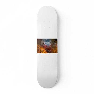 blue fish skateboard by Kachoozie
