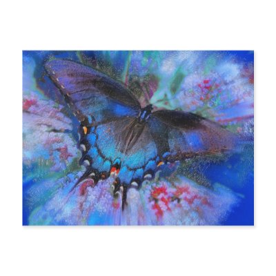 Blue Flight , postcard by GinaSignore