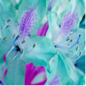 Blue Floral Photo Sculpture photo sculptures