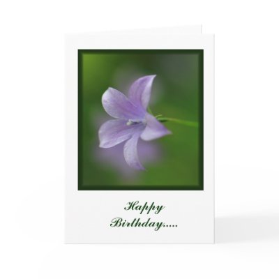 Blue Flower Birthday Card by JL_Hawkins